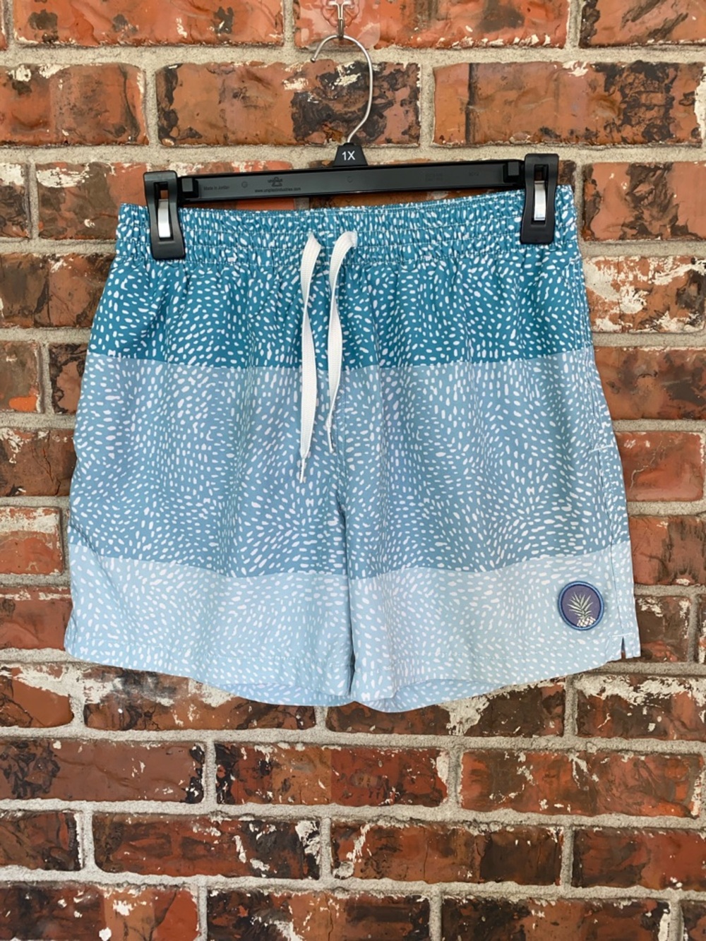 Chubbies swim shorts
